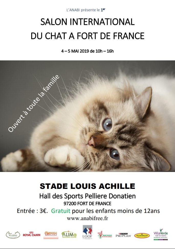 salon-chat-der