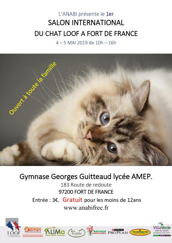 salon-chat-loof-mque-img